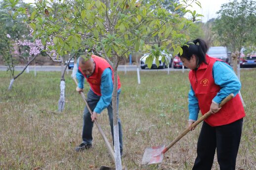 “植”此新绿不负春光公司开展植树节活动