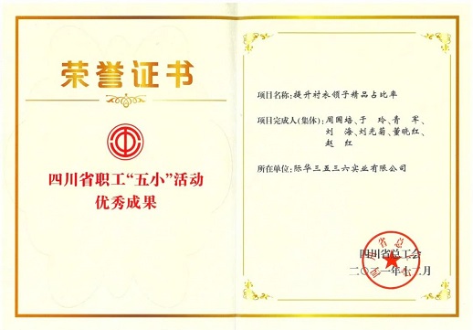祝贺公司项目被命名为四川省职工“五小”活动优秀成果